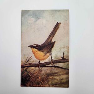 C.1909 Conotton Ohio Harrison County Postcard Antique Ephemera